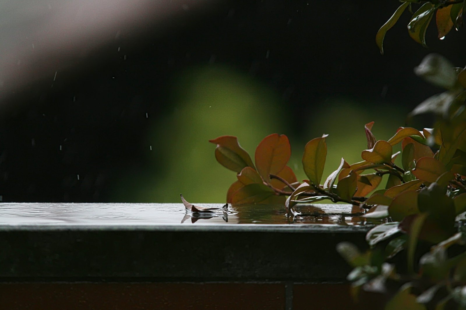 Best Calming Effects Of Rain Sounds For Better Sleeping