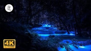 forest sounds at night crickets creek water sounds rain thunder f09f8ea7 nature sound